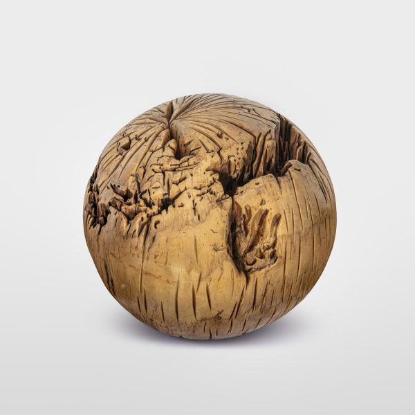 22 - Itelvino Jahn_Easy-Resize.com