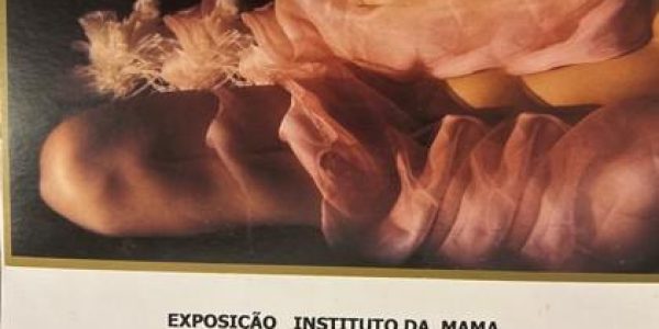 Exposição beneficiente instituto da mama