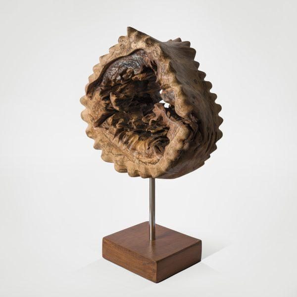 ITELVINO PLÁTANO MACIÇO 2025 72 X 40 X 20