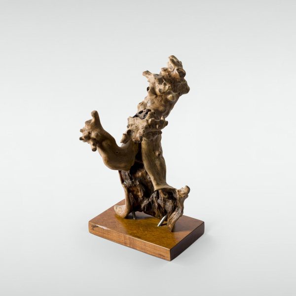 Plátano maciço - 65 x 45 x 35 - 2024_Easy-Resize.com