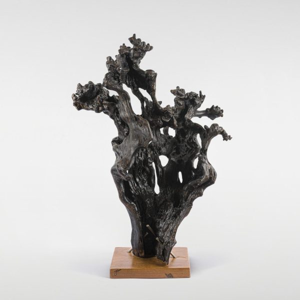 Plátano queimado maciço - 110 x 80 x 60 - 2022_Easy-Resize.com